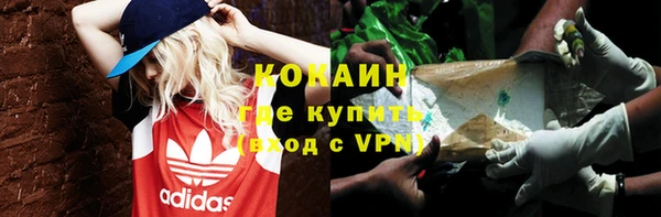 ПСИЛОЦИБИНОВЫЕ ГРИБЫ Карталы
