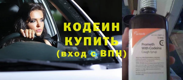 прущие грибы Каменка
