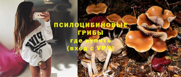 ПСИЛОЦИБИНОВЫЕ ГРИБЫ Карталы