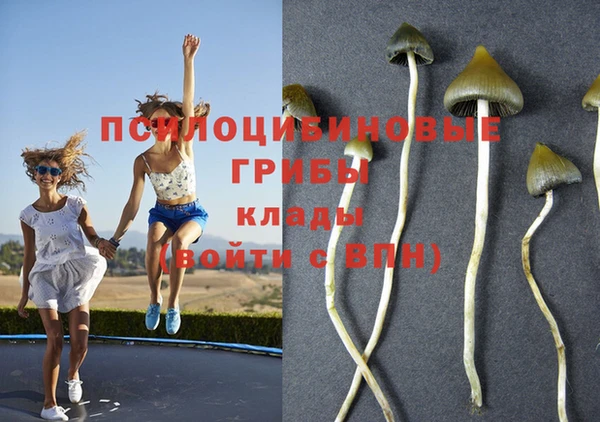 дистиллят марихуана Касимов