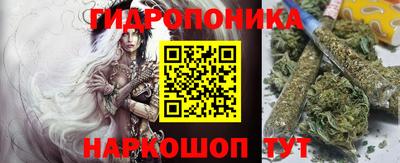 гидра Дубна